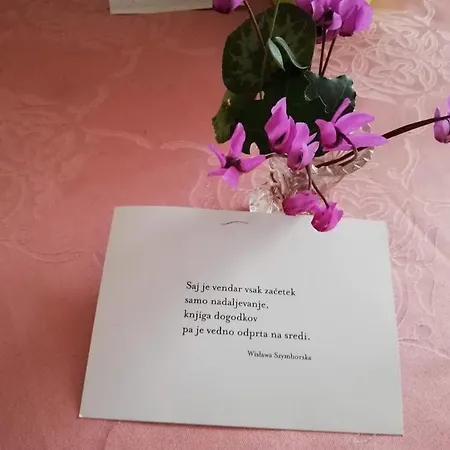 Apartament Radulje *