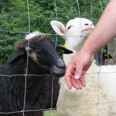 Apartman Radulje Bovec