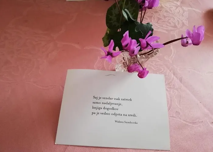 Διαμέρισμα Radulje *