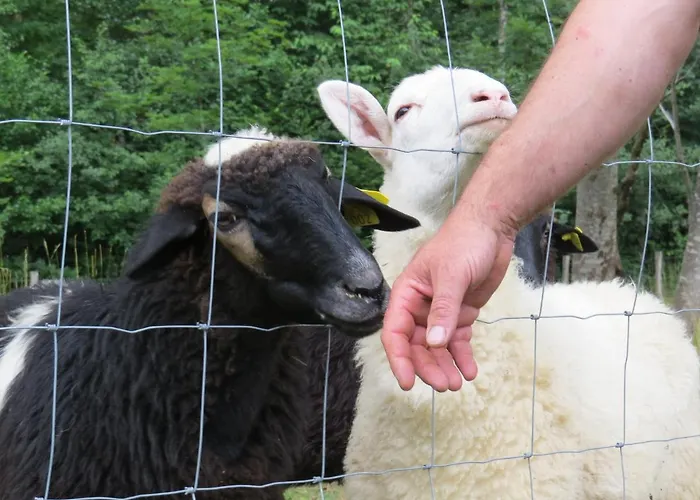 Apartment Radulje Bovec