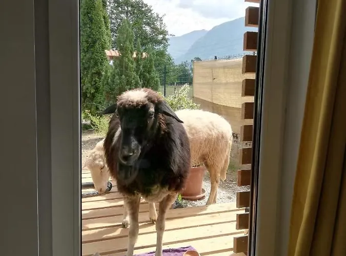 Διαμέρισμα Radulje